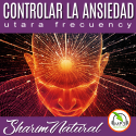 Controlar La Ansiedad · Audio MP3 · Descargable